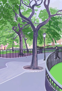 Trees of Tompkins Square Park by Lauren Edmond